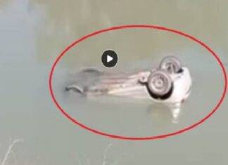 ਲੁਧਿਆਣਾ : ਤੇਜ਼ ਰਫਤਾਰ ਬੇਕਾਬੂ ਕਾਰ ਨਹਿਰ ‘ਚ ਡਿੱਗੀ, ਡੁੱਬ ਰਹੇ ਕਾਰ ਸਵਾਰਾਂ ਨੂੰ ਲੋਕਾਂ ਨੇ ਕੱਢਿਆ ਬਾਹਰ