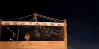 ਜਲੰਧਰ ‘ਚ ਗਾਂ ਲਿਜਾ ਰਹੇ ਟਰੱਕ ਨੂੰ ਹਿੰਦੂ ਸੰਗਠਨਾਂ ਦੇ ਵਰਕਰਾਂ ਨੇ ਫੜਿਆ, ਲੁਧਿਆਣਾ ਤੋਂ ਕਰ ਰਹੇ ਸੀ ਪਿੱਛਾ