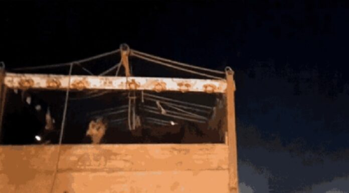 ਜਲੰਧਰ ‘ਚ ਗਾਂ ਲਿਜਾ ਰਹੇ ਟਰੱਕ ਨੂੰ ਹਿੰਦੂ ਸੰਗਠਨਾਂ ਦੇ ਵਰਕਰਾਂ ਨੇ ਫੜਿਆ, ਲੁਧਿਆਣਾ ਤੋਂ ਕਰ ਰਹੇ ਸੀ ਪਿੱਛਾ