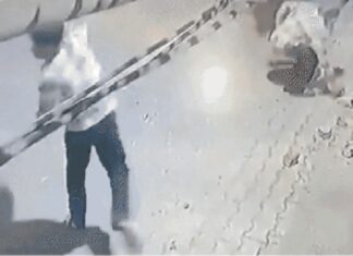 ਜਲੰਧਰ ‘ਚ ਬਦਮਾਸ਼ਾਂ ਨੇ ਘਰਾਂ ‘ਤੇ ਵਰ੍ਹਾਏ ਇੱਟਾਂ-ਰੋੜੇ, ਕੰਮ ਤੋਂ ਘਰ ਜਾ ਰਹੇ ਨੌਜਵਾਨਾਂ ਨੂੰ ਕੁੱਟਿਆ