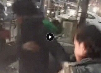 ਜਲੰਧਰ : ਸਿਵਲ ਹਸਪਤਾਲ ਦੇ ਬਾਹਰ ਮੋਬਾਇਲ ਖੋਹ ਕੇ ਭੱਜ ਰਹੇ ਲੁਟੇਰੇ ਨੂੰ ਲੋਕਾਂ ਨੇ ਕੀਤਾ ਕਾਬੂ, ਕੀਤੀ ਛਿੱਤਰ ਪਰੇਡ