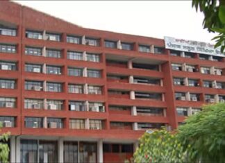 ਵਿਦਿਆਰਥੀਆਂ ਲਈ ਅਹਿਮ ਖਬਰ : PSEB ਨੇ 12ਵੀਂ ਕਲਾਸ ਦੀਆਂ ਪ੍ਰੀਖਿਆਵਾਂ ਲਈ ਰੋਲ ਨੰਬਰ ਕੀਤੇ ਜਾਰੀ