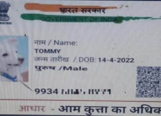 ਹੱਦ ਹੋ ਗਈ : ਹੁਣ ਕੁੱਤੇ ਨੂੰ ਵੀ ਚਾਹੀਦੈ ਜਾਤੀ ਪ੍ਰਮਾਣ ਪੱਤਰ, ਪਿਤਾ ਦਾ ਨਾਂ ਲਿਖਿਆ ਸ਼ੇਰੂ, ਆਧਾਰ ਦੇ ਨਾਲ ਕੀਤਾ ਅਪਲਾਈ