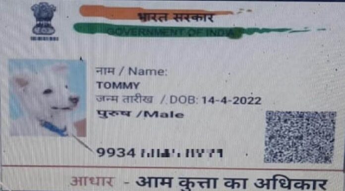ਹੱਦ ਹੋ ਗਈ : ਹੁਣ ਕੁੱਤੇ ਨੂੰ ਵੀ ਚਾਹੀਦੈ ਜਾਤੀ ਪ੍ਰਮਾਣ ਪੱਤਰ, ਪਿਤਾ ਦਾ ਨਾਂ ਲਿਖਿਆ ਸ਼ੇਰੂ, ਆਧਾਰ ਦੇ ਨਾਲ ਕੀਤਾ ਅਪਲਾਈ