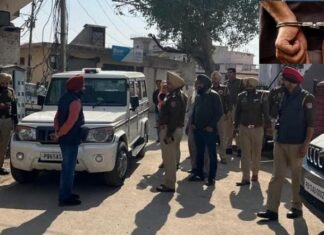 ਗੈਂਗਸਟਰ ਬਿਸ਼ਨੋਈ ਤੇ ਗੋਲਡੀ ਬਰਾੜ ਦੇ ਸਾਥੀਆਂ ਦੇ ਸ਼ੱਕੀ ਟਿਕਾਣਿਆਂ ‘ਤੇ ਛਾਪੇਮਾਰੀ, ਕਈ ਗ੍ਰਿਫਤਾਰ