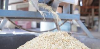 ਬੇਨਿਯਾਮੀਆਂ ਕਾਰਨ 8 ਰਾਈਸ ਮਿੱਲਾਂ ਨੂੰ ਕੀਤਾ ਬਲੈਕਲਿਸਟ, ਪੜ੍ਹੋ ਵਜ੍ਹਾ