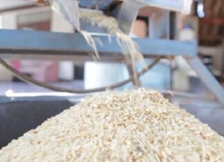 ਬੇਨਿਯਾਮੀਆਂ ਕਾਰਨ 8 ਰਾਈਸ ਮਿੱਲਾਂ ਨੂੰ ਕੀਤਾ ਬਲੈਕਲਿਸਟ, ਪੜ੍ਹੋ ਵਜ੍ਹਾ