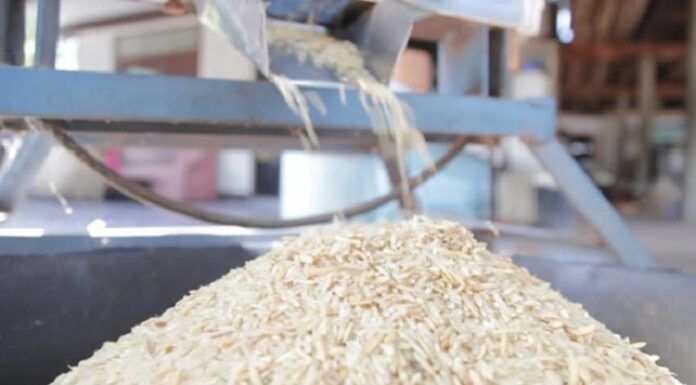 ਬੇਨਿਯਾਮੀਆਂ ਕਾਰਨ 8 ਰਾਈਸ ਮਿੱਲਾਂ ਨੂੰ ਕੀਤਾ ਬਲੈਕਲਿਸਟ, ਪੜ੍ਹੋ ਵਜ੍ਹਾ