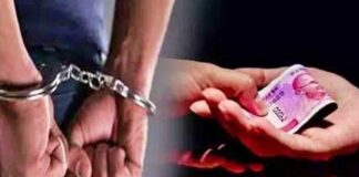 ਜਾਅਲੀ ਦਸਤਾਵੇਜ਼ਾਂ ਨਾਲ ਸਰਕਾਰੀ ਨੌਕਰੀ ਲਗਵਾਉਣ ਬਦਲੇ 15 ਹਜ਼ਾਰ ਰਿਸ਼ਵਤ ਲੈਂਦਾ ਵਿਅਕਤੀ ਕਾਬੂ, CM ਦਫਤਰ ਤਕ ਦੱਸਦਾ ਸੀ ਪਹੁੰਚ