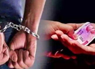 ਜਾਅਲੀ ਦਸਤਾਵੇਜ਼ਾਂ ਨਾਲ ਸਰਕਾਰੀ ਨੌਕਰੀ ਲਗਵਾਉਣ ਬਦਲੇ 15 ਹਜ਼ਾਰ ਰਿਸ਼ਵਤ ਲੈਂਦਾ ਵਿਅਕਤੀ ਕਾਬੂ, CM ਦਫਤਰ ਤਕ ਦੱਸਦਾ ਸੀ ਪਹੁੰਚ