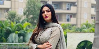 ਸਪਨਾ ਚੌਧਰੀ ਖ਼ਿਲਾਫ਼ FIR, ਭਰਜਾਈ ਨੇ ਪਰਿਵਾਰ ’ਤੇ ਲਗਾਏ ਕਰੇਟਾ ਕਾਰ ਮੰਗਣ ਦੇ ਇਲਜ਼ਾਮ