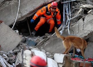 ਭੂਚਾਲ ਮਗਰੋਂ ਤੁਰਕੀ ‘ਚ ਹੁਣ ਤੱਕ 435 ਝਟਕੇ, ਮੌਤਾਂ ਦਾ ਅੰਕੜਾ 8,000 ਨੂੰ ਟੱਪਿਆ, ਬਰਫਬਾਰੀ ਨੇ ਵੀ ਵਧਾਈਆਂ ਮੁਸ਼ਕਲਾਂ