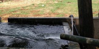 ਪੰਜਾਬ ਦੇ 23 ‘ਚੋਂ 20 ਜ਼ਿਲ੍ਹਿਆਂ ਦੇ ਬਲਾਕਾਂ ‘ਚ ਜ਼ਮੀਨੀ ਪਾਣੀ ਦੀ ਘਾਟ, ਭਿਆਨਕ ਦਿਸ ਰਿਹੈ ਆਉਣ ਵਾਲਾ ਮੰਜ਼ਰ