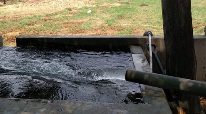 ਪੰਜਾਬ ਦੇ 23 ‘ਚੋਂ 20 ਜ਼ਿਲ੍ਹਿਆਂ ਦੇ ਬਲਾਕਾਂ ‘ਚ ਜ਼ਮੀਨੀ ਪਾਣੀ ਦੀ ਘਾਟ, ਭਿਆਨਕ ਦਿਸ ਰਿਹੈ ਆਉਣ ਵਾਲਾ ਮੰਜ਼ਰ