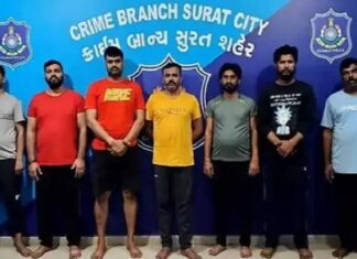 ਗੈਂਗਸਟਰ ਲਾਰੈਂਸ ਬਿਸ਼ਨੋਈ ਤੇ ਸੰਪਤ ਨਹਿਰਾ ਗੈਂਗ ਦੇ 7 ਸਾਥੀ ਗ੍ਰਿਫਤਾਰ, ਵੱਡੀ ਗੈਂਗਵਾਰ ਨੂੰ ਦੇਣ ਵਾਲੇ ਸੀ ਅੰਜਾਮ