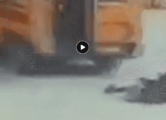 ਬਠਿੰਡਾ : ਚੱਲਦੀ ਸਕੂਲ ਵੈਨ ‘ਚੋਂ ਡਿੱਗੀ ਬੱਚੀ, ਪਿਆ ਚੀਕ-ਚਿਹਾੜਾ, ਡਰਾਈਵਰ ਦੌੜਾਂਦਾ ਰਿਹਾ ਬੱਸ