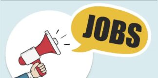 ਪੰਜਾਬ ਸਰਕਾਰ ਨੇ 710 ਅਸਾਮੀਆਂ ਲਈ ਕੱਢੀ ਭਰਤੀ, ਔਰਤਾਂ ਵੀ ਕਰ ਸਕਦੀਆਂ ਨੇ ਅਪਲਾਈ, ਪੜ੍ਹੋ ਡਿਟੇਲ