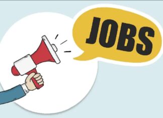 ਪੰਜਾਬ ਸਰਕਾਰ ਨੇ 710 ਅਸਾਮੀਆਂ ਲਈ ਕੱਢੀ ਭਰਤੀ, ਔਰਤਾਂ ਵੀ ਕਰ ਸਕਦੀਆਂ ਨੇ ਅਪਲਾਈ, ਪੜ੍ਹੋ ਡਿਟੇਲ