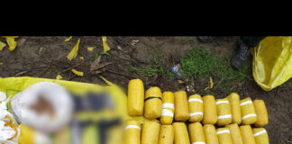 ਪੰਜਾਬ ‘ਚ ਗੈਰ-ਕਾਨੂੰਨੀ ਹਥਿਆਰਾਂ ਦਾ ਪ੍ਰਚਲਨ ਵਧਿਆ : ਪੜ੍ਹੋ ਸਰਹੱਦ ਪਾਰ ਦੀ ਬਜਾਏ ਗੈਂਗਸਟਰ ਕਿਥੋਂ ਲਿਆ ਰਹੇ ਸਸਤੇ ਹਥਿਆਰ