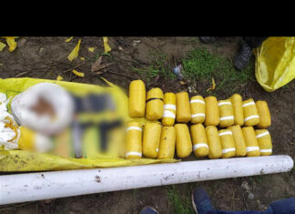 ਪੰਜਾਬ ‘ਚ ਗੈਰ-ਕਾਨੂੰਨੀ ਹਥਿਆਰਾਂ ਦਾ ਪ੍ਰਚਲਨ ਵਧਿਆ : ਪੜ੍ਹੋ ਸਰਹੱਦ ਪਾਰ ਦੀ ਬਜਾਏ ਗੈਂਗਸਟਰ ਕਿਥੋਂ ਲਿਆ ਰਹੇ ਸਸਤੇ ਹਥਿਆਰ