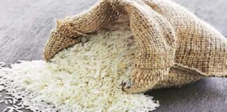 ਪੰਜਾਬ ਸਰਕਾਰ ਧਰਤੀ ਹੇਠਲੇ ਪਾਣੀ ਨੂੰ ਬਚਾਉਣ ਲਈ ਬਾਸਮਤੀ ਹੇਠ ਰਕਬਾ ਕਰੇਗੀ ਦੁੱਗਣਾ, ਬਾਸਮਤੀ ਬਣੇਗਾ ਪੰਜਾਬ ਦਾ ਬਰੈਂਡ