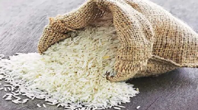 ਪੰਜਾਬ ਸਰਕਾਰ ਧਰਤੀ ਹੇਠਲੇ ਪਾਣੀ ਨੂੰ ਬਚਾਉਣ ਲਈ ਬਾਸਮਤੀ ਹੇਠ ਰਕਬਾ ਕਰੇਗੀ ਦੁੱਗਣਾ, ਬਾਸਮਤੀ ਬਣੇਗਾ ਪੰਜਾਬ ਦਾ ਬਰੈਂਡ
