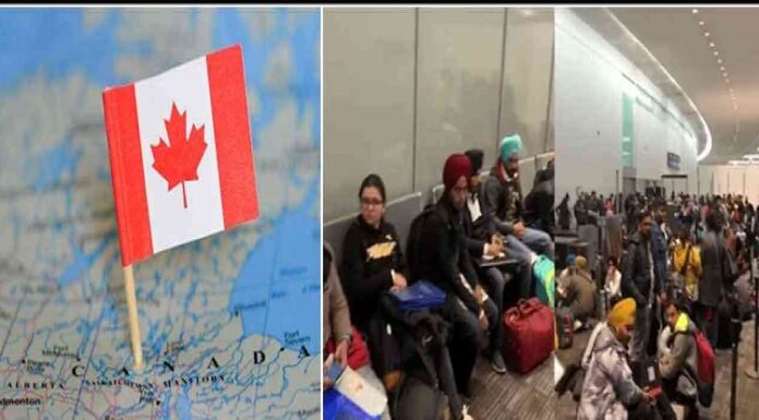 ਵੱਡੀ ਖਬਰ : ਕੈਨੇਡਾ 700 ਵਿਦਿਆਰਥੀਆਂ ਨੂੰ ਕਰੇਗਾ ਡਿਪੋਰਟ, ਪੜ੍ਹੋ ਕਾਰਨ