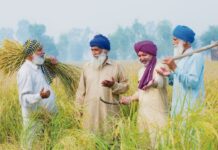 ਬਜਟ 2023 : ਪੰਜਾਬ ਸਰਕਾਰ ਵੱਲੋਂ 2574 ਕਿਸਾਨ ਮਿੱਤਰਾਂ ਦੀ ਭਰਤੀ ਦਾ ਐਲਾਨ, ਘਰ-ਘਰ ਜਾ ਕੇ ਕਰਨਗੇ ਮਦਦ