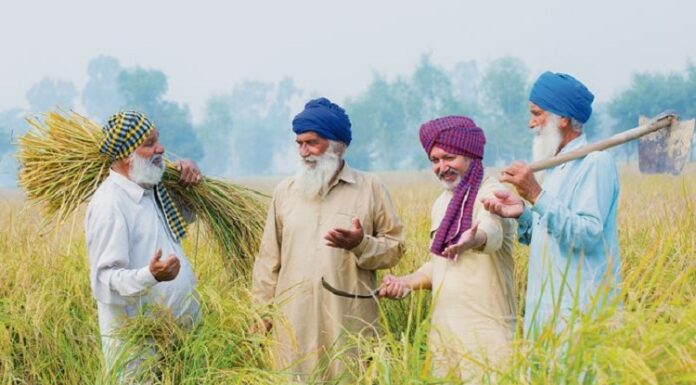 ਬਜਟ 2023 : ਪੰਜਾਬ ਸਰਕਾਰ ਵੱਲੋਂ 2574 ਕਿਸਾਨ ਮਿੱਤਰਾਂ ਦੀ ਭਰਤੀ ਦਾ ਐਲਾਨ, ਘਰ-ਘਰ ਜਾ ਕੇ ਕਰਨਗੇ ਮਦਦ