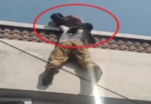 ਲੁਧਿਆਣਾ : ਫਿਲਮੀ ਸਟਾਈਲ ‘ਚ ASI ਨੂੰ ਧੱਕਾ ਦੇ ਕੇ ਭੱਜਿਆ ਹਵਾਲਾਤੀ, ਫਿਰ ਇੰਝ ਆਇਆ ਕਾਬੂ