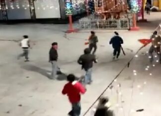 ਹਿਮਾਚਲ ‘ਚ ਪੰਜਾਬ ਦੇ ਮੁੰਡਿਆਂ ਨੇ ਕੀਤਾ ਹੰਗਾਮਾ, ਘਰਾਂ ਤੇ ਕਾਰਾਂ ‘ਤੇ ਚਲਾਏ ਇੱਟਾਂ-ਰੋੜੇ, ਸ਼ੀਸ਼ੇ ਤੋੜੇ