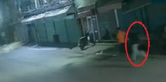 ਲੁਧਿਆਣਾ ‘ਚ ਗੁੰਡਾਗਰਦੀ ਦਾ ਨੰਗਾ ਨਾਚ ! ਬਦਮਾਸ਼ ਨੇ ਦੌੜਾ-ਦੌੜਾ ਕੇ ਦੁਕਾਨਦਾਰ ਨੂੰ ਦਾਤ ਨਾਲ ਵੱਢਿਆ