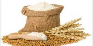 ਪੰਜਾਬ ਸਰਕਾਰ ਦੀ ਗਰੀਬਾਂ ਦੇ ਰਾਸ਼ਨ ‘ਤੇ ਡਾਕਾ ਮਾਰਨ ਵਾਲਿਆਂ ਖਿਲਾਫ ਸਖਤੀ : 10 ਜ਼ਿਲਿਆਂ ਦੇ 87 ਹਜ਼ਾਰ ਨੀਲੇ ਕਾਰਡ ਕੀਤੇ ਰੱਦ