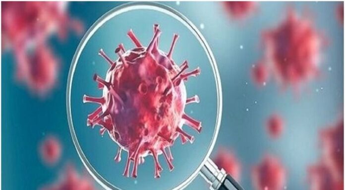 ਦੇਸ਼ ‘ਚ ਫੈਲ ਰਿਹਾ ਕੋਵਿਡ ਵਾਂਗ ਫਲੂ : ਲੱਛਣ ਵੀ ਕੋਰੋਨਾ ਵਰਗੇ, ਲੋਕਾਂ ‘ਚ ਡਰ