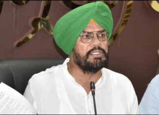 ਪੰਜਾਬ ਸਰਕਾਰ ਦਾ ਅਹਿਮ ਫੈਸਲਾ : ਪਿੰਡਾਂ ਦੇ ਛੱਪੜਾਂ ਨੂੰ ਮੁੜ ਸੁਰਜੀਤ ਕੀਤਾ ਜਾਵੇਗਾ