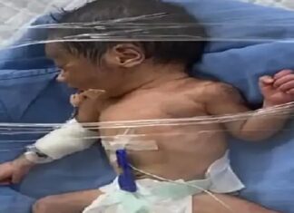 ਲੁਧਿਆਣਾ ‘ਚ ਇਨਸਾਨੀਅਤ ਸ਼ਰਮਸਾਰ ! ਨਵਜੰਮੀ ਬੱਚੀ ਨੂੰ ਛੱਤ ਤੋਂ ਸੁੱਟਿਆ