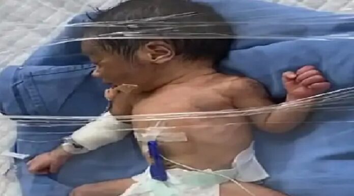 ਲੁਧਿਆਣਾ ‘ਚ ਇਨਸਾਨੀਅਤ ਸ਼ਰਮਸਾਰ ! ਨਵਜੰਮੀ ਬੱਚੀ ਨੂੰ ਛੱਤ ਤੋਂ ਸੁੱਟਿਆ