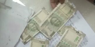 ਸਿਓਂਕ ਨੇ ਖਾ ਲਏ PNB ਬੈਂਕ ਦੇ ਲਾਕਰ ‘ਚ ਰੱਖੇ 2 ਲੱਖ ਰੁਪਏ, ਲਾਕਰ ਖੋਲ੍ਹਦਿਆਂ ਹੀ ਮਹਿਲਾ ਦੇ ਉਡੇ ਹੋਸ਼