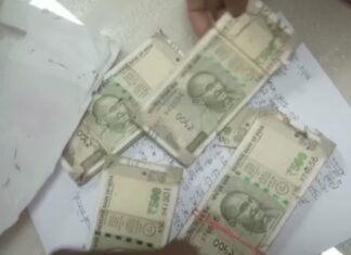 ਸਿਓਂਕ ਨੇ ਖਾ ਲਏ PNB ਬੈਂਕ ਦੇ ਲਾਕਰ ‘ਚ ਰੱਖੇ 2 ਲੱਖ ਰੁਪਏ, ਲਾਕਰ ਖੋਲ੍ਹਦਿਆਂ ਹੀ ਮਹਿਲਾ ਦੇ ਉਡੇ ਹੋਸ਼