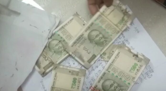 ਸਿਓਂਕ ਨੇ ਖਾ ਲਏ PNB ਬੈਂਕ ਦੇ ਲਾਕਰ ‘ਚ ਰੱਖੇ 2 ਲੱਖ ਰੁਪਏ, ਲਾਕਰ ਖੋਲ੍ਹਦਿਆਂ ਹੀ ਮਹਿਲਾ ਦੇ ਉਡੇ ਹੋਸ਼