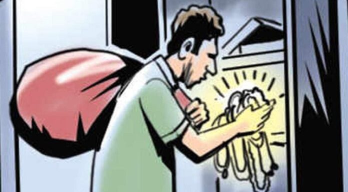 ਸੇਵਾ-ਮੁਕਤ ਮਹਿਲਾ ਪ੍ਰਿੰਸੀਪਲ ਦੇ ਘਰੋਂ ਨਕਦੀ ਤੇ ਗਹਿਣੇ ਚੋਰੀ, ਧੀ ਨੂੰ ਮਿਲਣ ਗਿਆ ਸੀ ਪਰਿਵਾਰ, ਪਿੱਛੋਂ ਵਾਪਰੀ ਘਟਨਾ