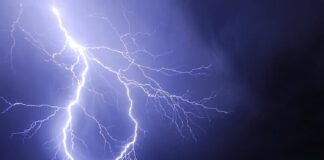 ਉੱਤਰਾਖੰਡ : ਆਸਮਾਨੀ ਬਿਜਲੀ ਡਿੱਗਣ ਨਾਲ 350 ਬੱਕਰੀਆਂ ਦੀ ਮੌਤ