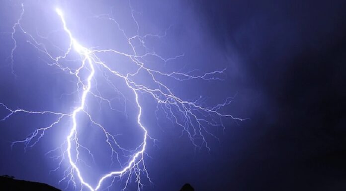 ਉੱਤਰਾਖੰਡ : ਆਸਮਾਨੀ ਬਿਜਲੀ ਡਿੱਗਣ ਨਾਲ 350 ਬੱਕਰੀਆਂ ਦੀ ਮੌਤ