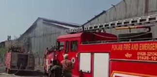 ਖੰਨਾ ‘ਚ ਪਲਾਈਵੁੱਡ ਫੈਕਟਰੀ ‘ਚ ਲੱਗੀ ਭਿਆਨਕ ਅੱਗ, ਫਾਇਰ ਬ੍ਰਿਗੇਡ ਦੀਆਂ 5 ਗੱਡੀਆਂ ਅੱਗ ਬੁਝਾਉਣ ‘ਚ ਲੱਗੀਆਂ