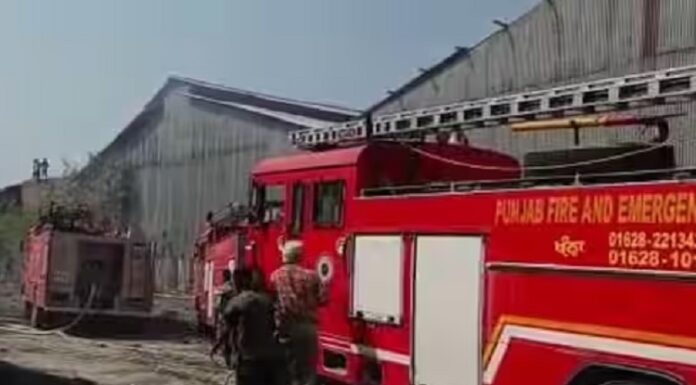 ਖੰਨਾ ‘ਚ ਪਲਾਈਵੁੱਡ ਫੈਕਟਰੀ ‘ਚ ਲੱਗੀ ਭਿਆਨਕ ਅੱਗ, ਫਾਇਰ ਬ੍ਰਿਗੇਡ ਦੀਆਂ 5 ਗੱਡੀਆਂ ਅੱਗ ਬੁਝਾਉਣ ‘ਚ ਲੱਗੀਆਂ