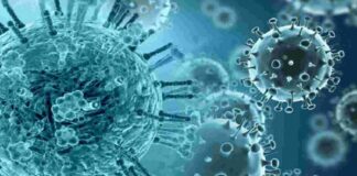 ਹਰਿਆਣਾ ‘ਚ ਇਨਫਲੂਐਂਜ਼ਾ A ਅਤੇ B ਨੂੰ ਲੈ ਕੇ ਅਲਰਟ : ਹਸਪਤਾਲਾਂ ‘ਚ ਵਧੇ 40 ਫੀਸਦੀ ਮਾਮਲੇ