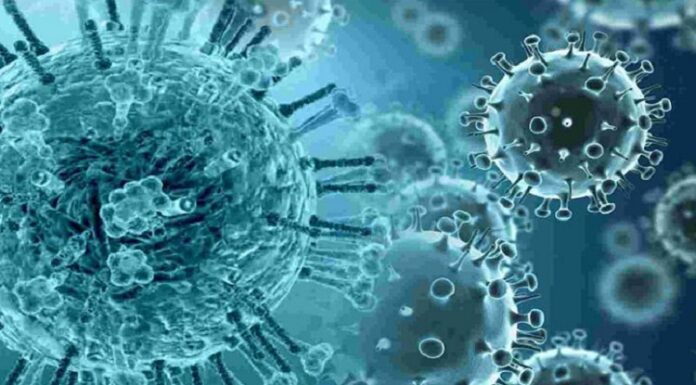 ਹਰਿਆਣਾ ‘ਚ ਇਨਫਲੂਐਂਜ਼ਾ A ਅਤੇ B ਨੂੰ ਲੈ ਕੇ ਅਲਰਟ : ਹਸਪਤਾਲਾਂ ‘ਚ ਵਧੇ 40 ਫੀਸਦੀ ਮਾਮਲੇ