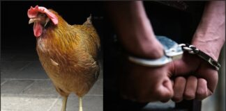 ਗੁਰਦਾਸਪੁਰ : ਚਿਕਨ ਸ਼ਾਪ ‘ਤੇ ਮੁਰਗਾ ਖਾਂਦੇ ਨੌਜਵਾਨ ਨੂੰ ਗੋਲ਼ੀਆਂ ਮਾਰ ਕੇ ਭੱਜਿਆ ਮੁਲਜ਼ਮ 1 ਸਾਲ ਬਾਅਦ ਗ੍ਰਿਫਤਾਰ