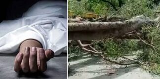 ਫਿਰੋਜ਼ਪੁਰ : ਡਿਊਟੀ ‘ਤੇ ਜਾਂਦੇ ਮੋਟਰਸਾਈਕਲ ਸਵਾਰ ਬਿਜਲੀ ਮੁਲਾਜ਼ਮ ‘ਤੇ ਡਿੱਗਾ ਸਫ਼ੈਦਾ, ਮੌਕੇ ‘ਤੇ ਮੌਤ