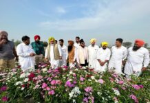 ਪੰਜਾਬ ਨੂੰ ਬਾਗਬਾਨੀ ‘ਚ ਮੋਹਰੀ ਸੂਬਾ ਬਣਾਉਣ ਲਈ ਮੰਤਰੀ ਜੌੜਾਮਾਜਰਾ ਵੱਲੋਂ ਸੂਬੇ ਭਰ ਦੇ ਦੌਰੇ ਸ਼ੁਰੂ